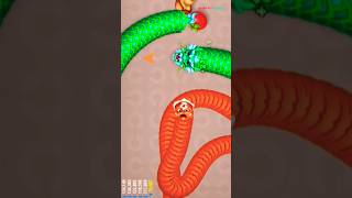 WormsZone 🐍 🐍 big green dragon 🐉 🐉 vs tiger snake 🐯🐯#shortsfeed #gaming #shorts