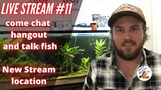 Live stream #11