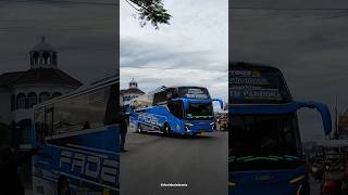 Telolet basuri bus msm asyrof ratu pandora hino rm 280 jetbus 5 adiputro #busmania #bus #Shorts