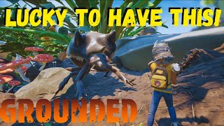 GROUNDED EP. 29 | JUST A BIT OF LUCK!