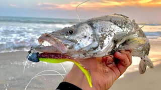 PESCANDO RÓBALOS de ORILLA || pesca de PLAYA.