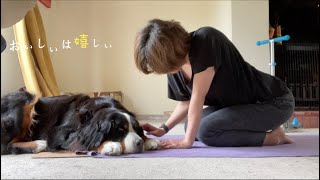 【実践編】私がしてきたこと。3ヶ月で5キロ、健康的に痩せる食事と運動。