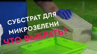 Обзор субстратов для микрозелени. Универсальное решение —Каменная вата.