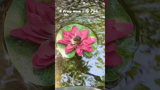 Part 1 | Frog’s Paradise: A Day on the Lily Pad #nature #wildlife #pondlife