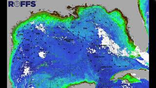 Gulf of Mexico Ocean Conditions Update - 10/18/2022