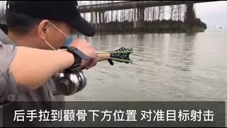 Powerful Hunting Slingshot Fishing rob