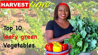 Top 10 Healthy Vegetables to Grow in your Garden | Kenyan Vegetable Dictionary | Organic Farming