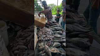 Wow!! Rural Village Street Ice Fish Market Live Hard Day in Life #shorts