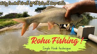 రవ్వ సింగిల్ హుక్ ఫ్లోట్ ఫిషింగ్ విధానమ్ Rohu Fish catching #adventure #rohufishing #fishing