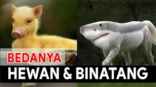 Perbedaan Hewan dan Binatang