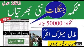 Forest Department Jobs| Mehkma Janglat New Jobs 2023 in Pakistan| Forestry Jobs 2023 Forest Guard