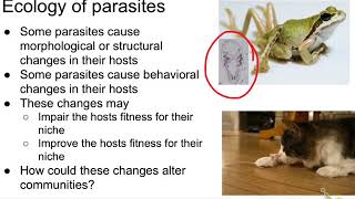 bio 3-14 parasites