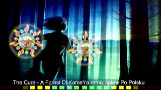 The Cure - A Forest Dj KameYa remix śpiew Po Polsku 2024