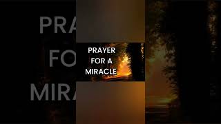 Prayer for a Miracle #prayer #miracleprayer #prayerworks #blessingprayer #shorts