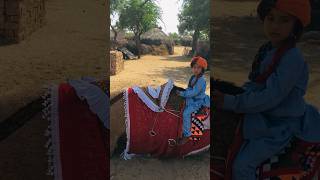 Grooming a camel #shorts  #shortvideo