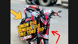 Cr5 Tuko GT 250 Modificada Tuning