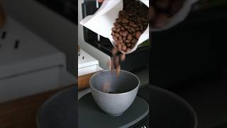 Coffee Bean asmr (and a new Normcore scale). . . #coffee #espresso #asmr