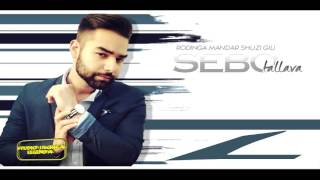 Sebo Tallava - Progreshno Shave - New Hit 2016 by Studio Jackica Legenda