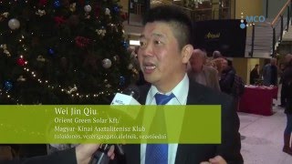 Wei Jin Qiu riport  / Időtlen Derengés - kiállítás 2015.12.17.