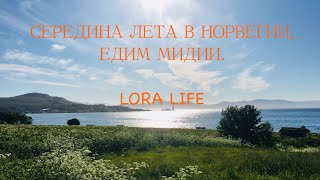 Середина лета в Норвегии @Lora Life Norway