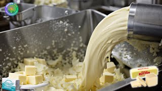 How Butter is Made in a Factory | Butter Factory Process