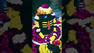 Har Har Mahadev 🙏🌺 Har Har Mahadev 🙏 Om Namah Shivay 🙏🌺