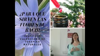 ¿Para qué sirven las Flores de Bach? 💮