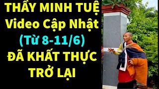 ⛔️Cập Nhật Videos Mới Nhất 11/6 || Thầy Minh Tuệ Bộ Hành Trở Lại || Bồ Đề Tâm Official