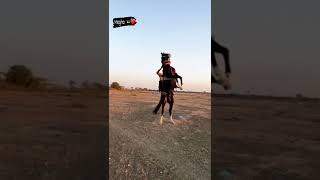 megho horse video 🐎 kudva vala ghoda