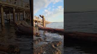 World's LONGEST Pier 😲 #shorts #youtubeshorts #trending #viral