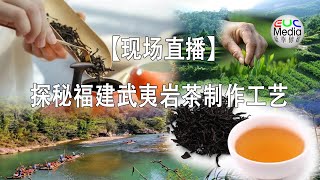 【现场直播】探秘福建武夷岩茶制作工艺