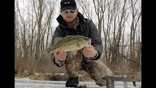 Jigging Big Bass and Bluegill