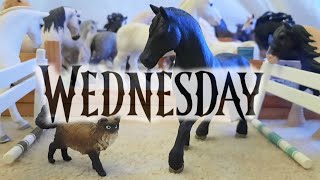 Wednesday || Schleich Music Video || Bloody Mary Remix (Lady Gaga) || Schleich Horse Music Video ||