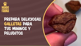 Receta para mascotas: prepara deliciosas galletas para tus mininos y peluditos