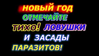 Новый год отмечайте тихо, засады и ловушки паразитов