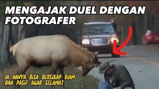 Insiden yang menegangkan, sekali dalam hidupnya