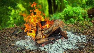 🔥 Relaxing Fireplace & Campfire Nature Sounds | Crackling Fire Ambience for Sleep & Meditation