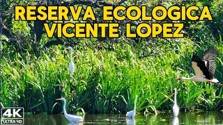 【4K】EXPLORÉ La Reserva Escondida de Vicente López🦎 La Lucila, Walking Tour Buenos Aires