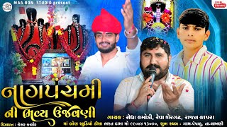 નાગપંચમી ની ભવ્ય ઉજવણી પેપળુ || Rajan Kapra , Sedha Kamodi , Reva Sergadh Maa Bon Studio