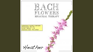 Heather EFT Dose Therapy (Binaural Real Frequency from Bach Flowers)