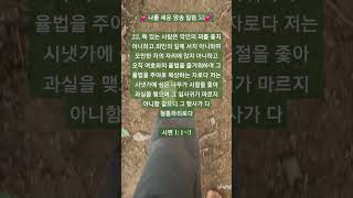 🌿복 있는 사람은🌿/시편 1: 1~3/나를 세운 암송 말씀 53/맨발 걷기 좋은 날 208/앞산 맨발산행루틴