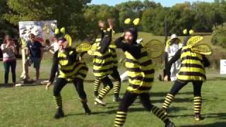 PolliNATION Art & Music Festival for the bees