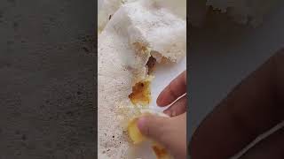 Masala dosa with white chutney! #shortsfeed #youtubeshorts #food