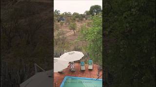 Private pool with a view! #safari