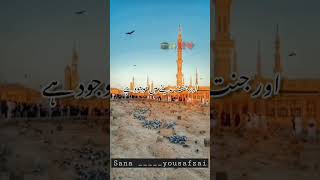 Ham Na Ankho Sa Dekha Nhe Hai Magar Naat Status|Urdu New Naat 2023, #whatsappstatus #islamicquotes