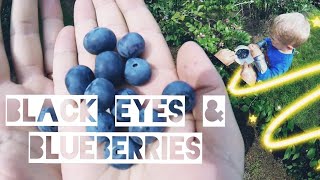 Black Eyes and Blueberries