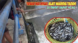 CERDAS BEGINILAH CARA MEMBUWAT PERANGKAF JEBAKAN IKAN SUNGAI AIR TERJUN