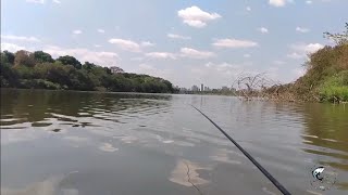 PESCARIA DE PIAU , COM VARINHA DE MÃO