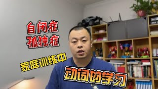 自闭症儿童家庭训练中动词的教学方法