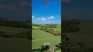 GREEN MEADOWS IN ITBAYAT BATANES #greenview #batanes #shortsvideo #yotubeshorts